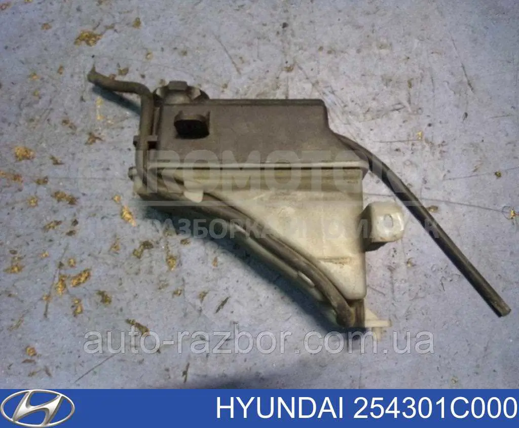 Botella expansion Hyundai Getz 