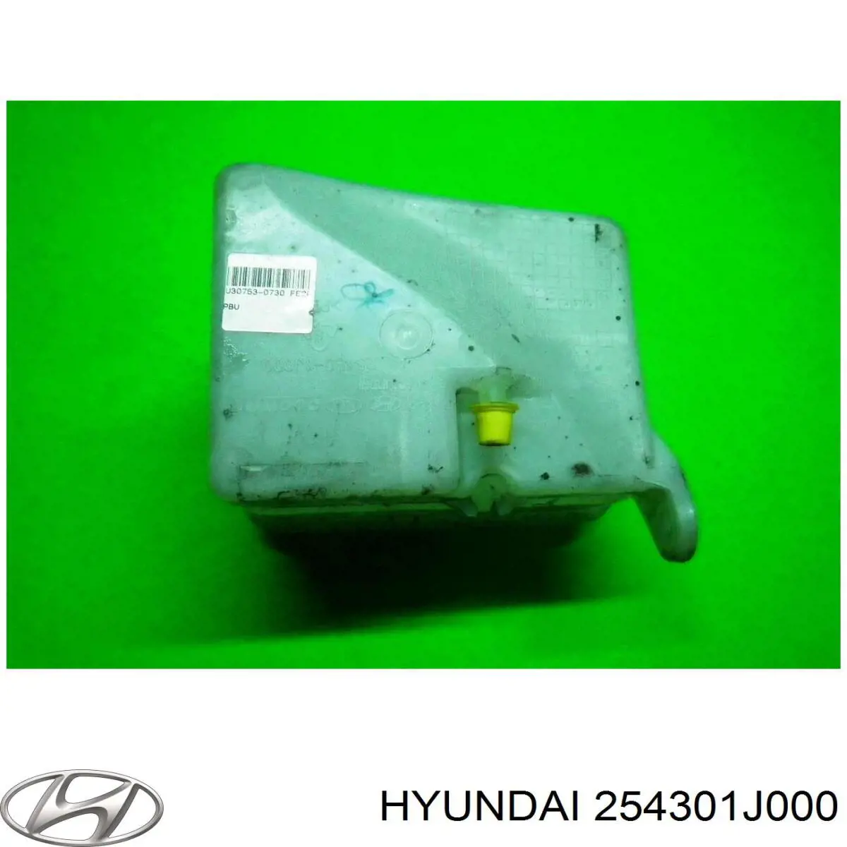 254301J000 Hyundai/Kia