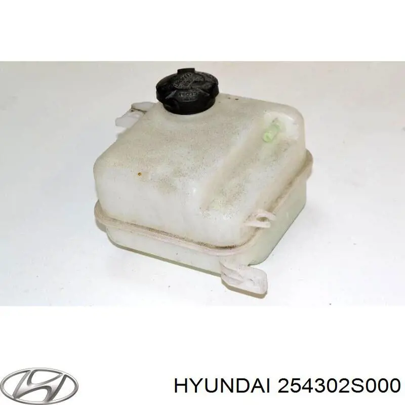 Botella expansion Hyundai/Kia 254302S000 precio, desde 34,85 EUR