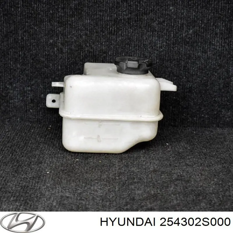Comprar 254302S000 Hyundai/Kia Deposito expansion