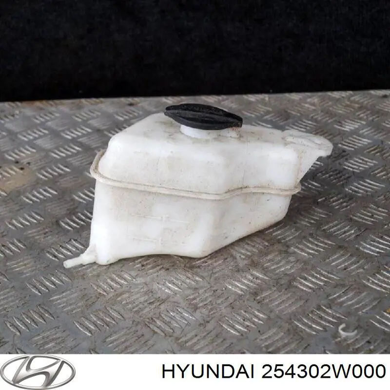 Botella de refrigeración para Hyundai Santa Fe (DM)