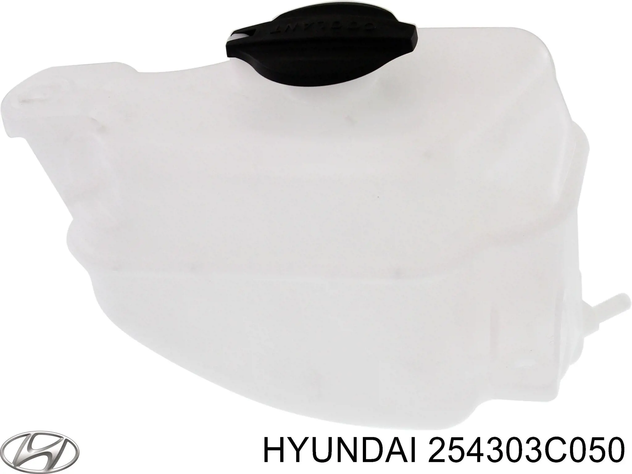 Botella de refrigeración para Hyundai Sonata (EU4)