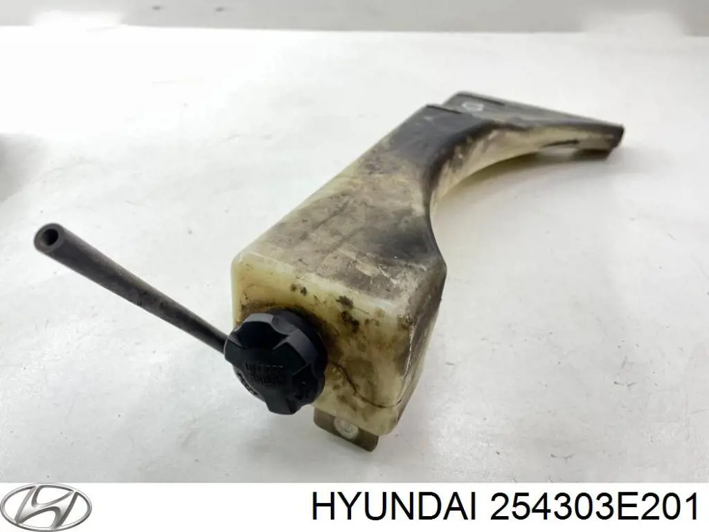 254303E201 Hyundai/Kia vaso de expansión