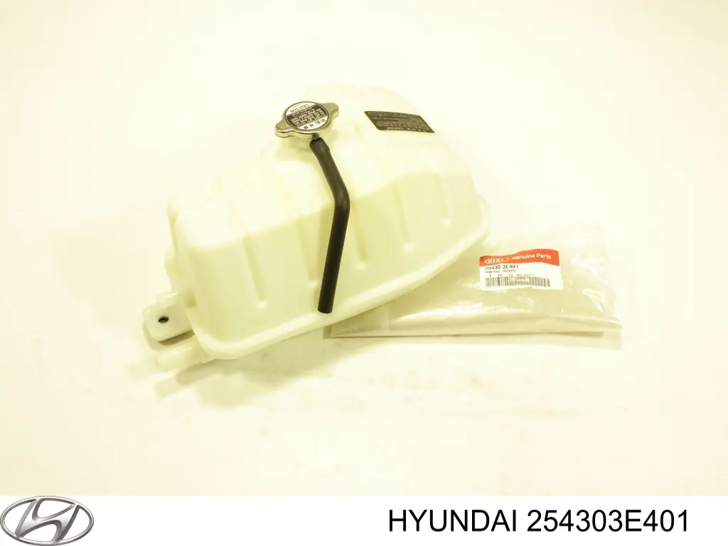 254303E401 Hyundai/Kia Depósito de expansión