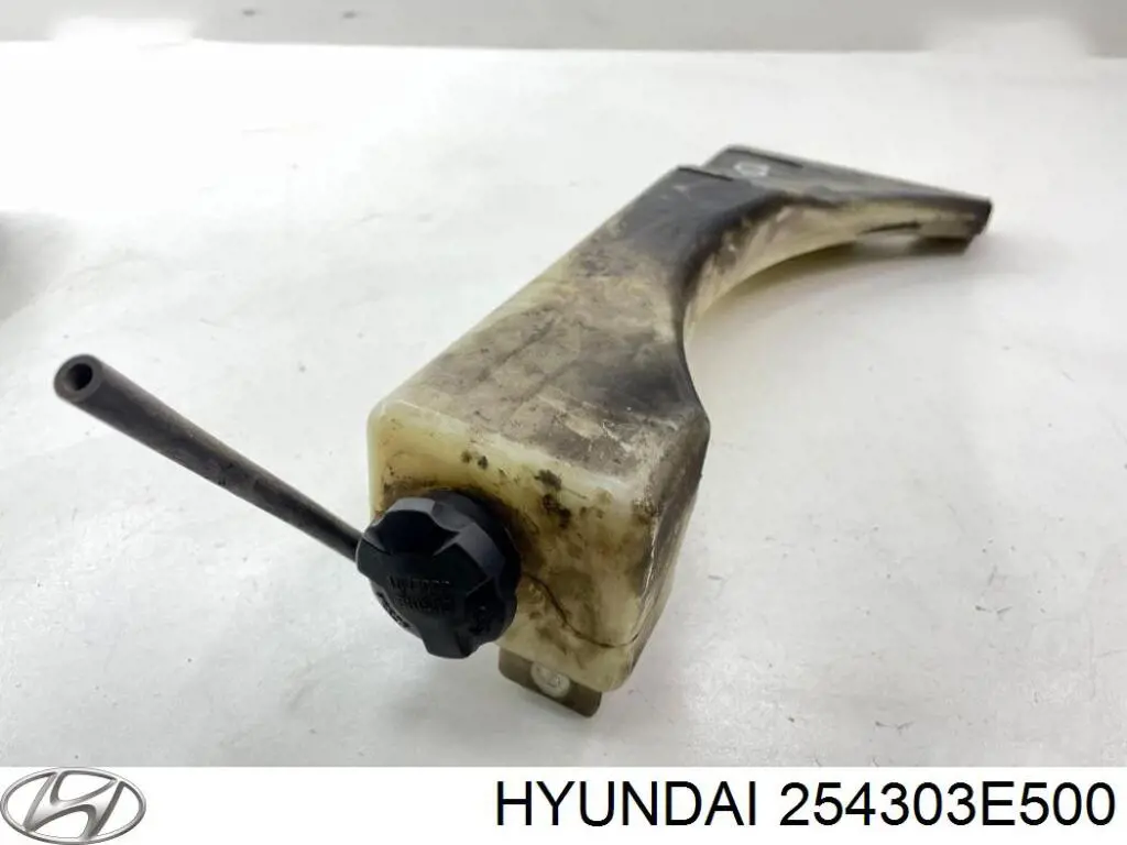 Botella expansion Hyundai/Kia 254303E500 precio, desde 197,47 EUR