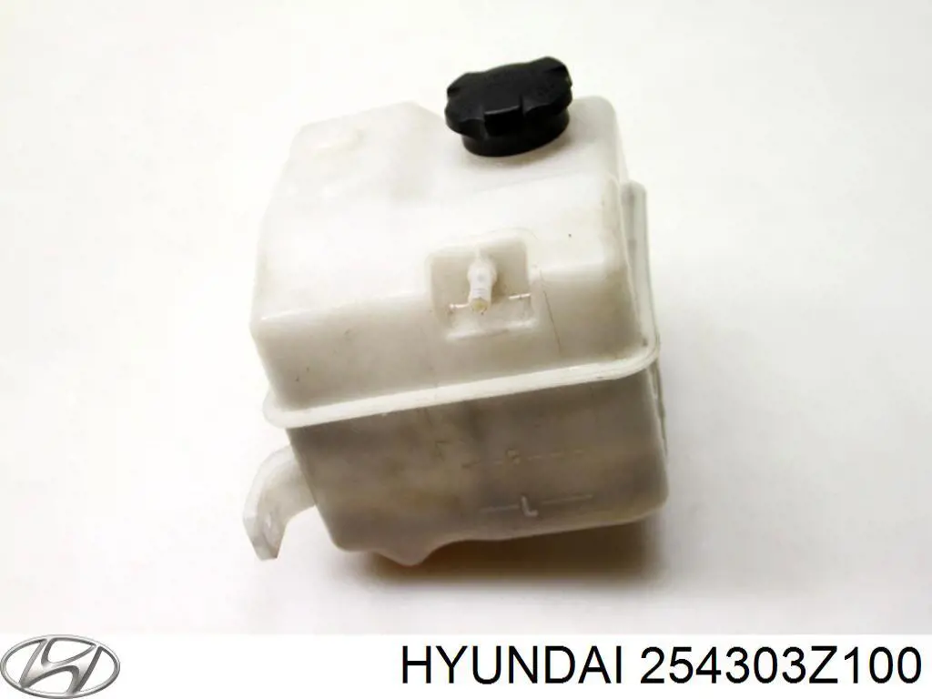 254303Z100 Hyundai/Kia vaso de expansión, refrigerante