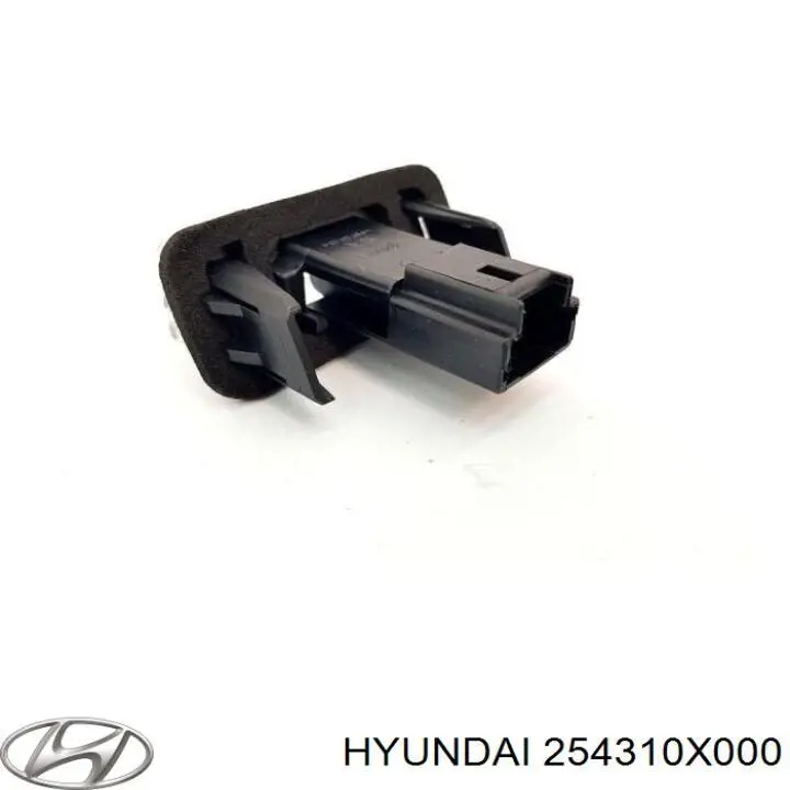 Botella expansion Hyundai/Kia 254310X000 precio, desde 38,07 EUR