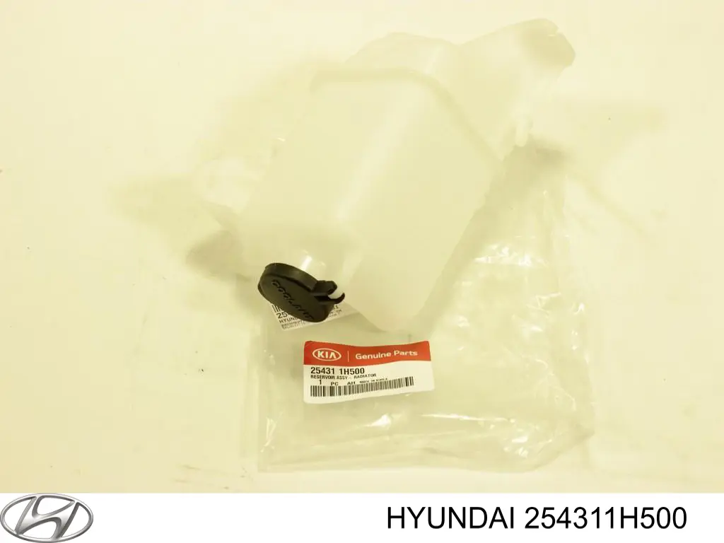 Botella expansion Hyundai/Kia 254311H500 precio, desde 56,95 EUR