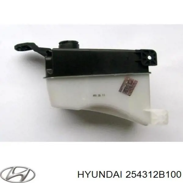 Botella de refrigeración para Hyundai Santa Fe (CM)