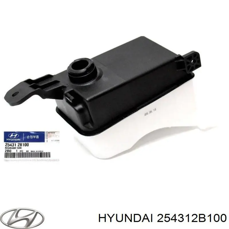 Botella expansion Hyundai/Kia 254312B100 precio, desde 31,94 EUR