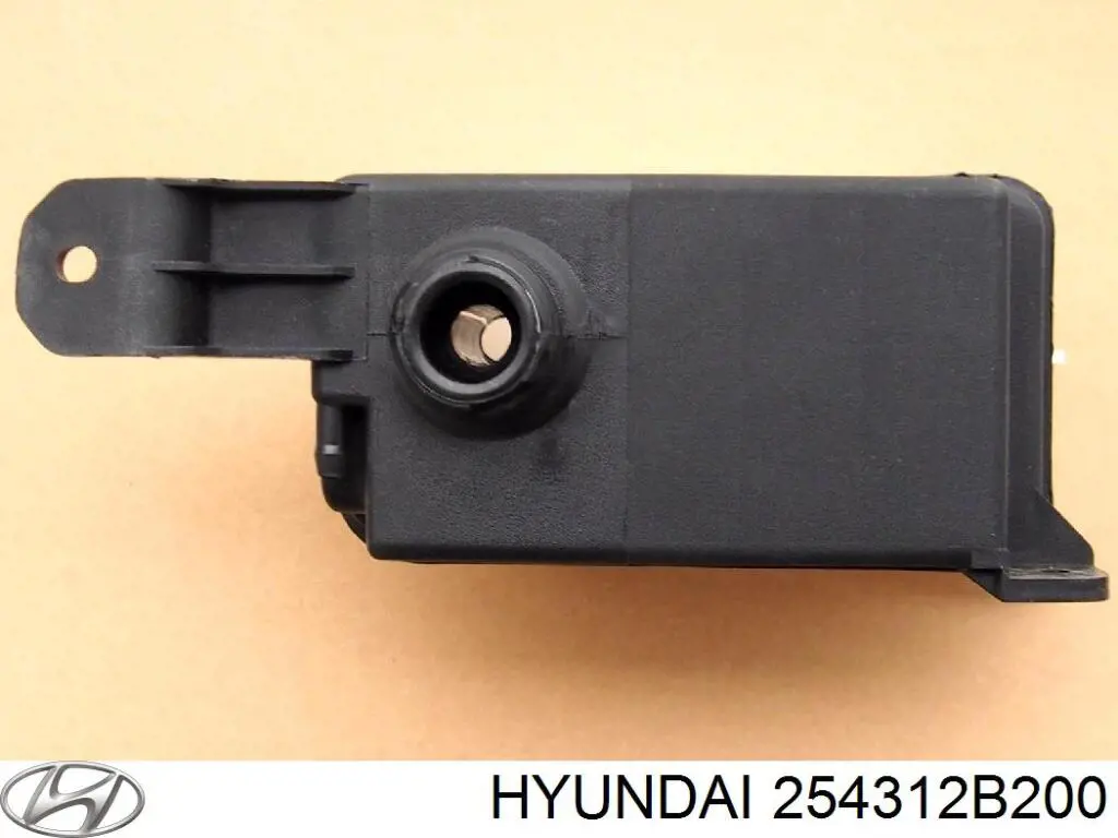 Botella expansion Hyundai/Kia 254312B200 precio, desde 25,38 EUR