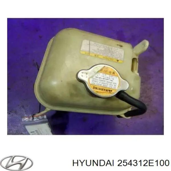 254312E100 Hyundai/Kia vaso de expansión, refrigerante