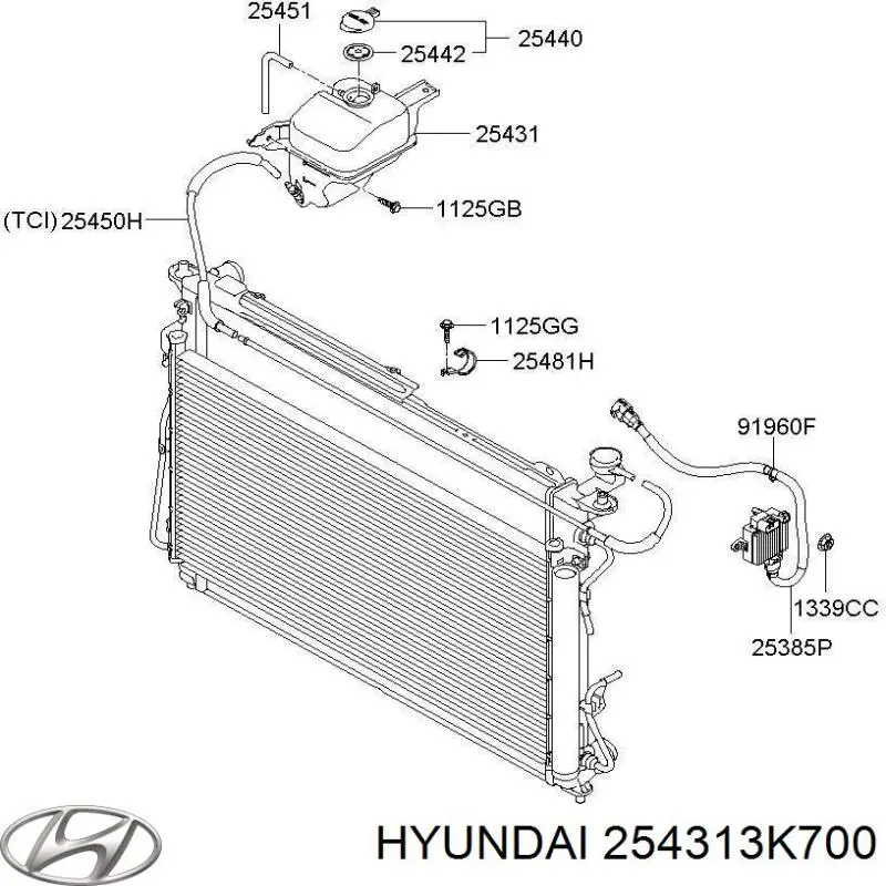 254313K700 Hyundai/Kia