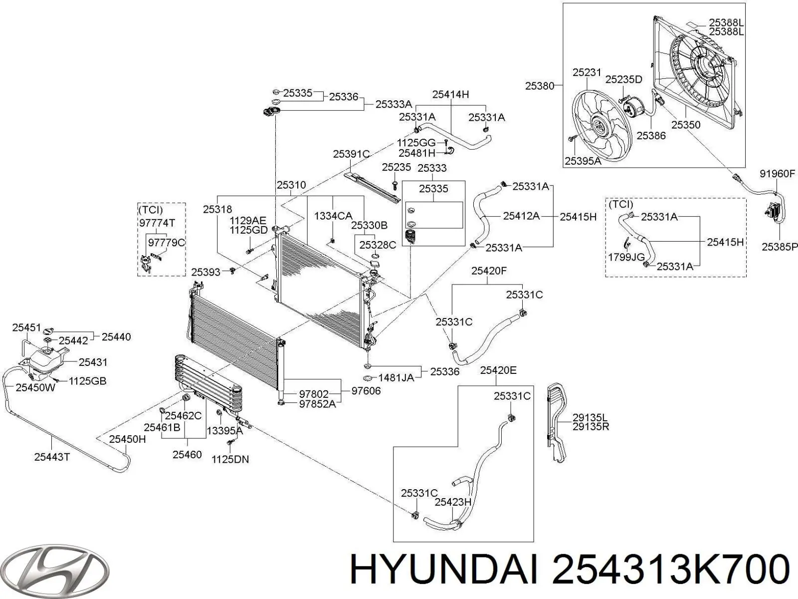 Botella expansion Hyundai Sonata V sedán (NF) (2007 - 2010) precio, desde 28,79 EUR