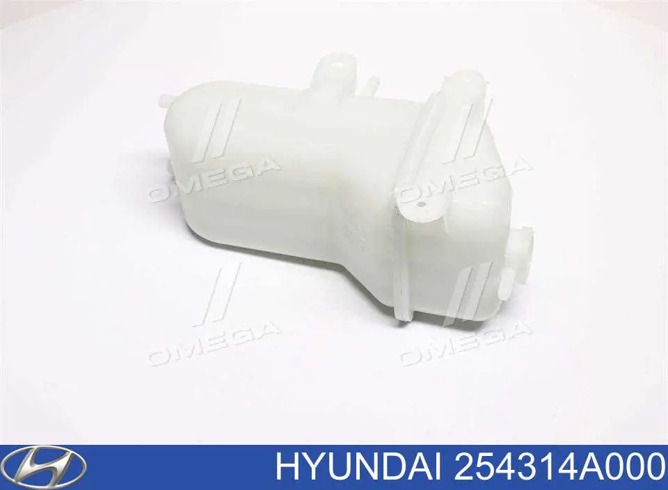 Botella expansion Hyundai/Kia 254314A000 precio, desde 32,04 EUR