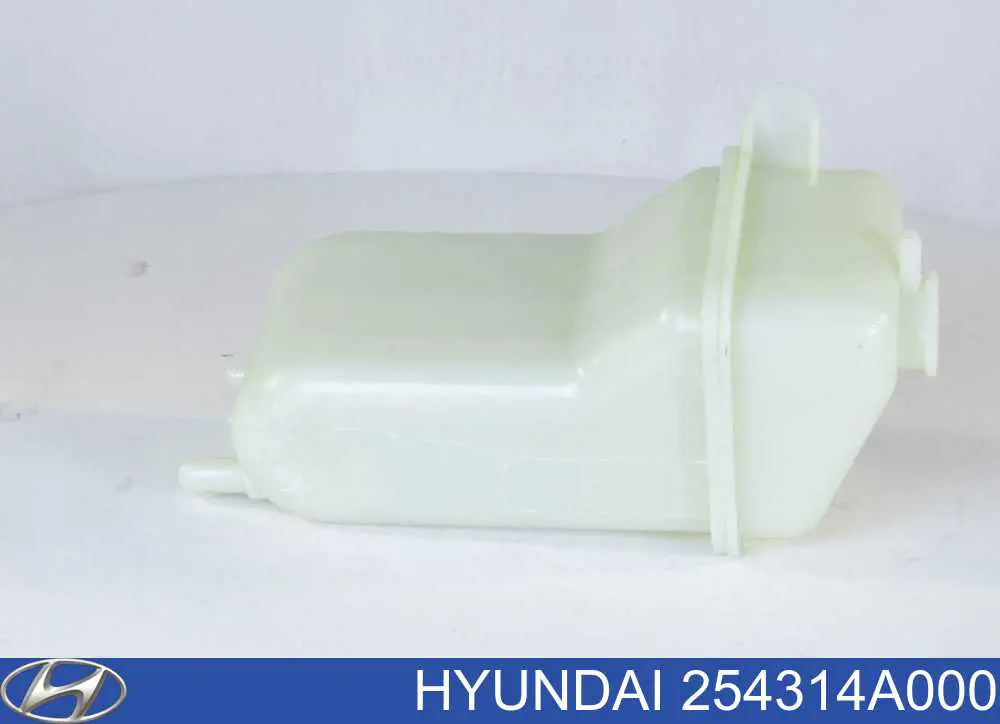 Comprar 254314A000 Hyundai/Kia Deposito expansion