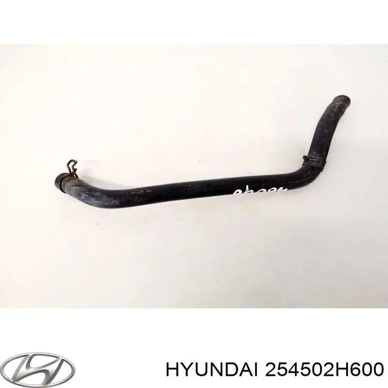 254502H600 Hyundai/Kia