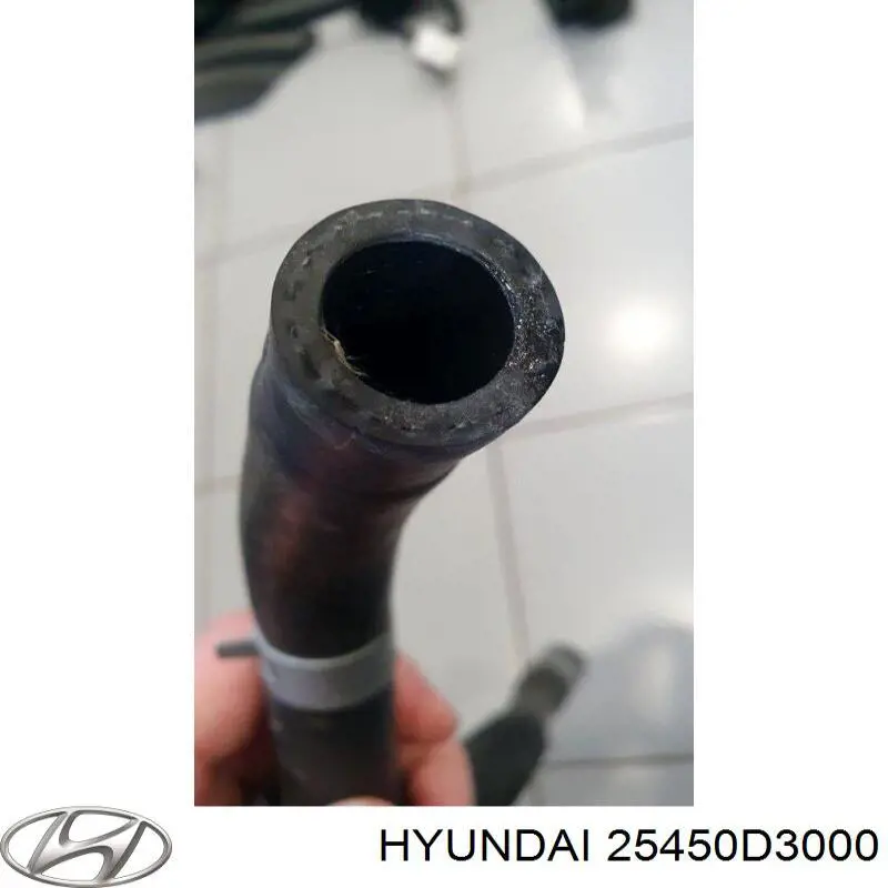 25450D3000 Hyundai/Kia