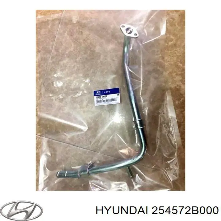 254572B000 Hyundai/Kia