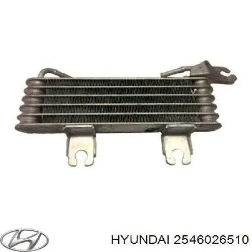2546026510 Hyundai/Kia radiador de aceite