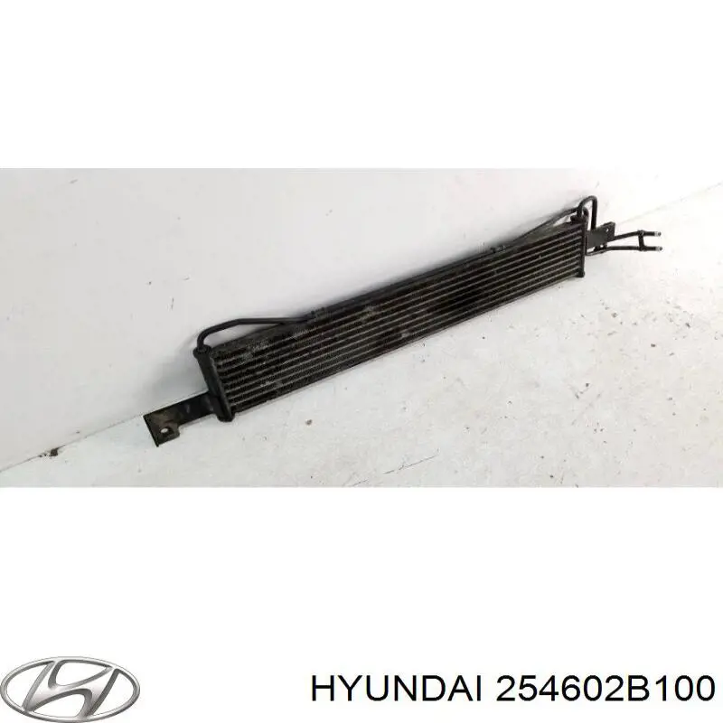 Comprar 254602B100 Hyundai/Kia Radiador de refrigeración de la transmisión