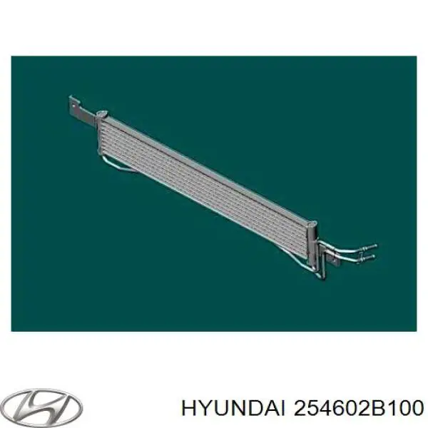 Radiador Enfriador De La Transmision/Caja De Cambios para Hyundai Santa Fe (CM)