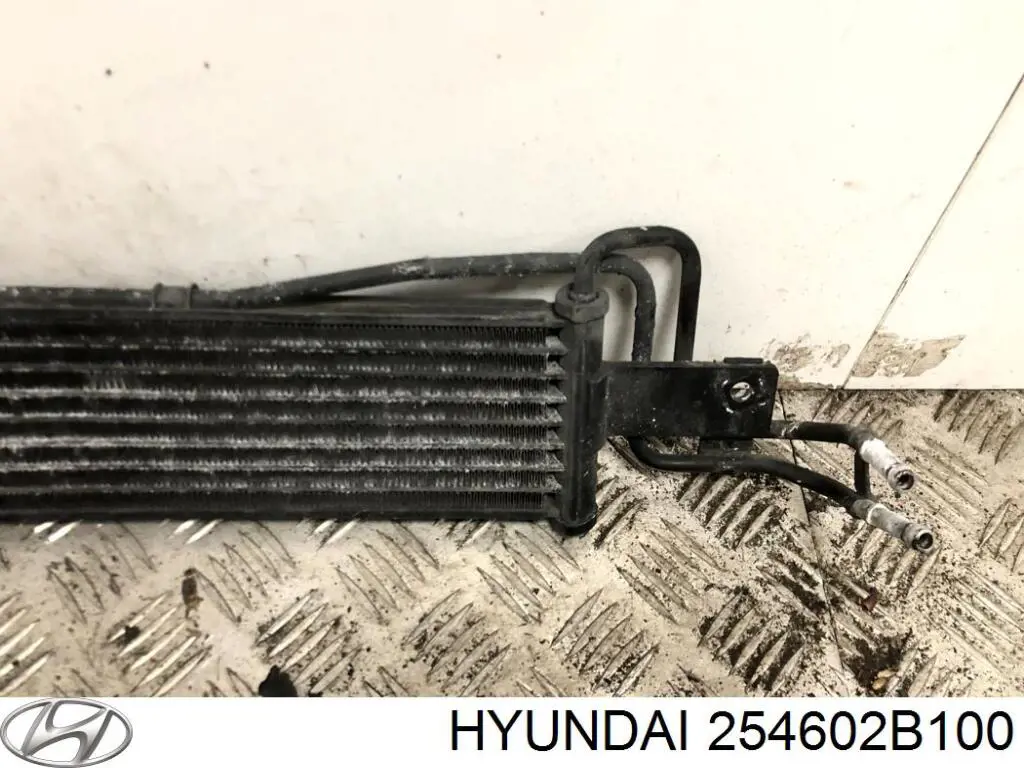 Radiador de refrigeración de la transmisión Hyundai/Kia 254602B100 precio, desde 76,96 EUR