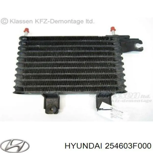 254603F000 Hyundai/Kia radiador de aceite