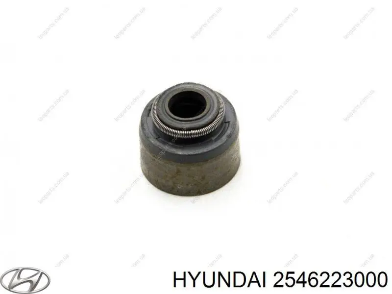 2546223000 Hyundai/Kia