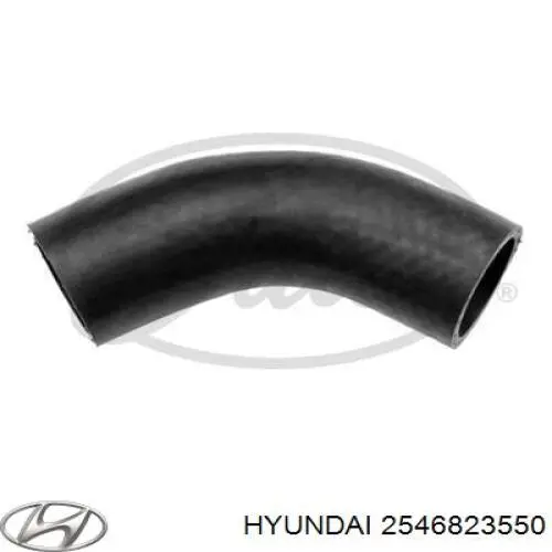 2546823550 Hyundai/Kia tubería de radiador, alimentación