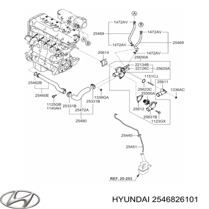 2546826101 Hyundai/Kia acelerador de calentamiento de manguera (tubo)