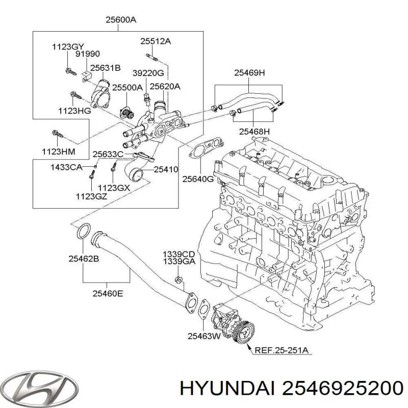 2546925200 Hyundai/Kia