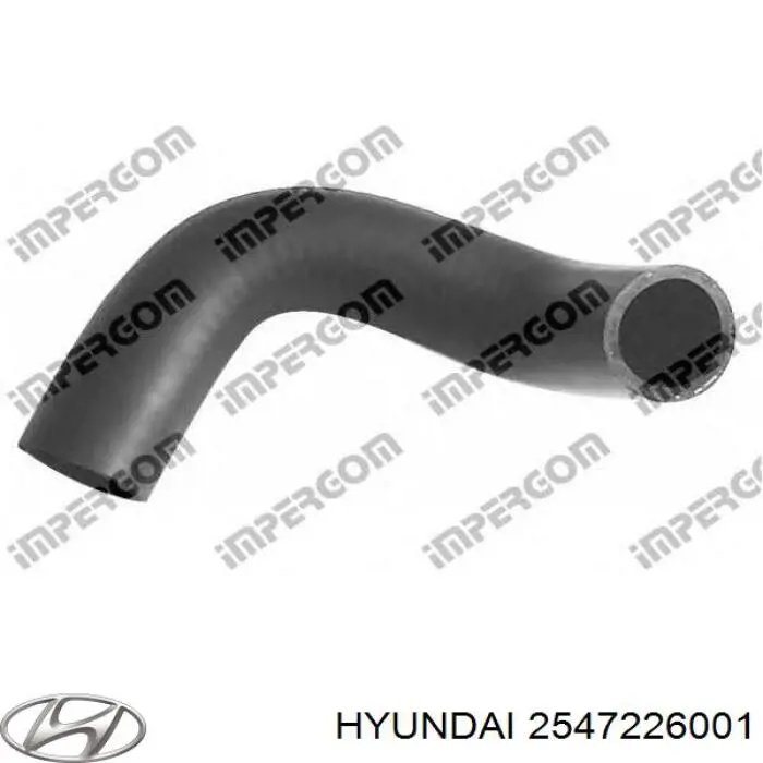 Manguera de refrigeración para Hyundai Elantra (XD)
