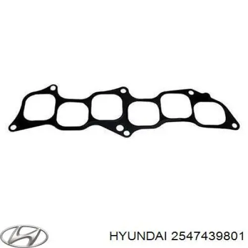 2547439801 Hyundai/Kia