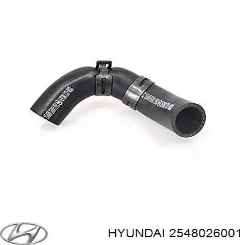 Manguera (conducto) del sistema de refrigeración Hyundai Accent 2 LC