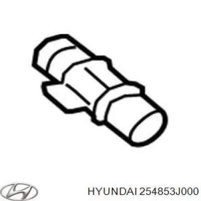 Acople rápido de la manguera del radiador Hyundai/Kia 254853J000 precio, desde 21,01 EUR