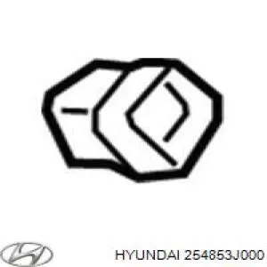 254853J000 Hyundai/Kia manguera de refrigeración