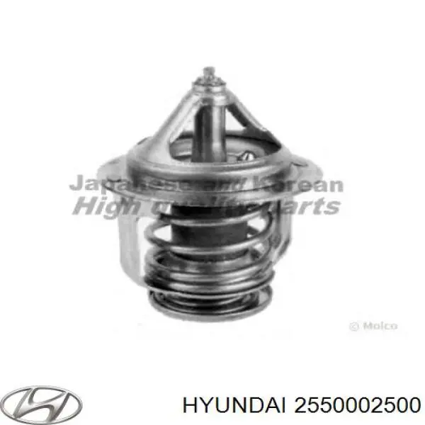 2550002500 Hyundai/Kia termostato
