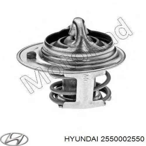 2550002550 Hyundai/Kia termostato