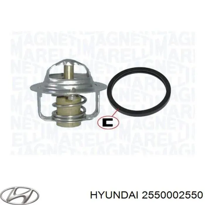 Comprar 2550002550 Hyundai/Kia Termostato