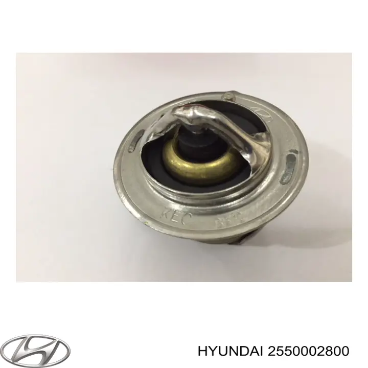 Termostato Hyundai/Kia 2550002800 precio, desde 21,70 EUR
