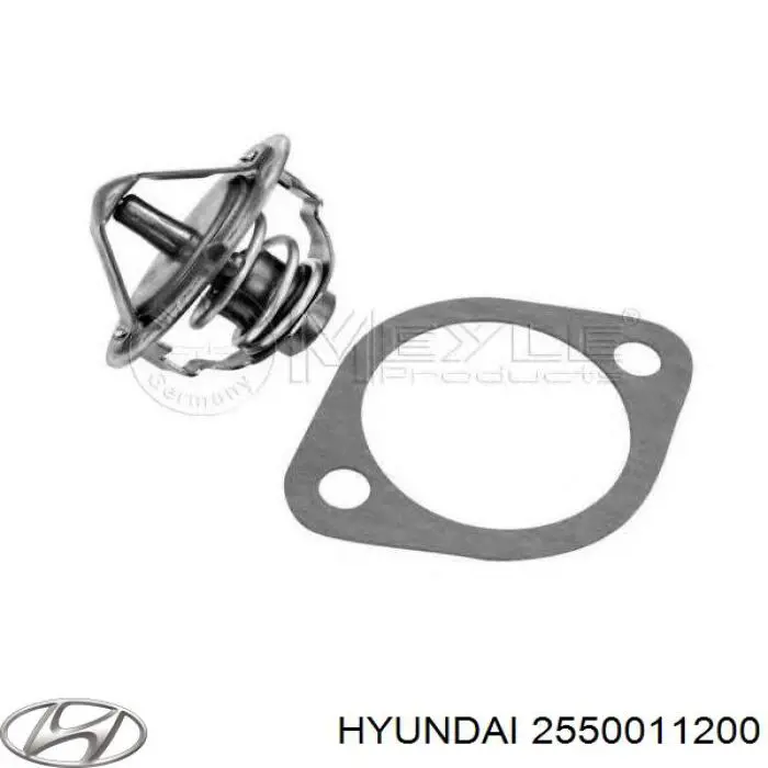 2550011200 Hyundai/Kia termostato