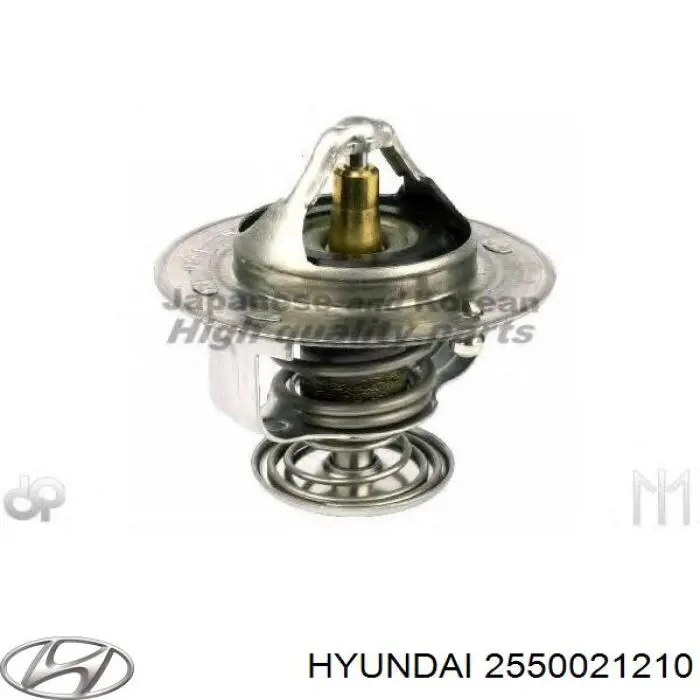 2550021210 Hyundai/Kia termostato