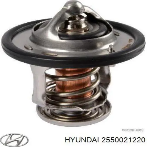 2550021220 Hyundai/Kia termostato