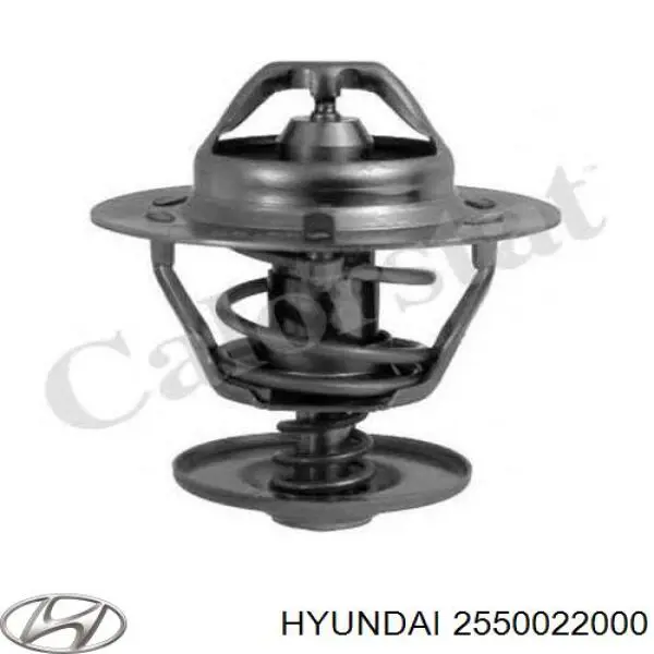 2550022000 Hyundai/Kia termostato