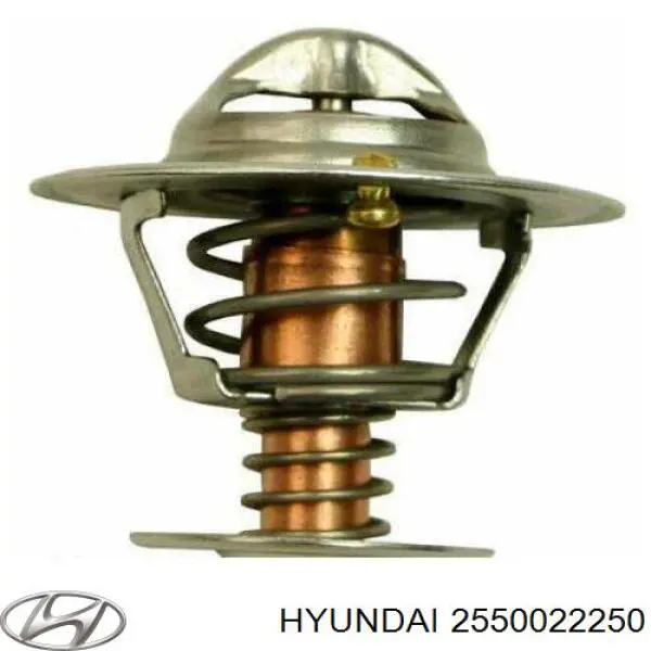 2550022250 Hyundai/Kia termostato, refrigerante