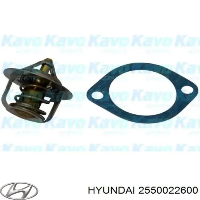 2550022600 Hyundai/Kia termostato