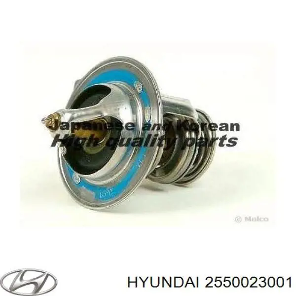 2550023001 Hyundai/Kia termostato