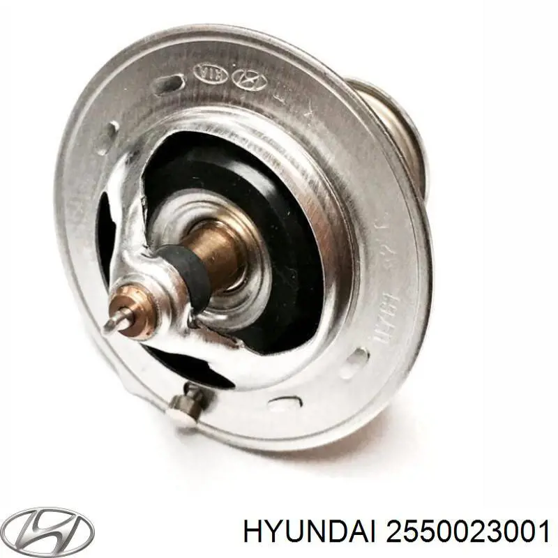 Termostato, refrigerante Hyundai Tucson 1 JM