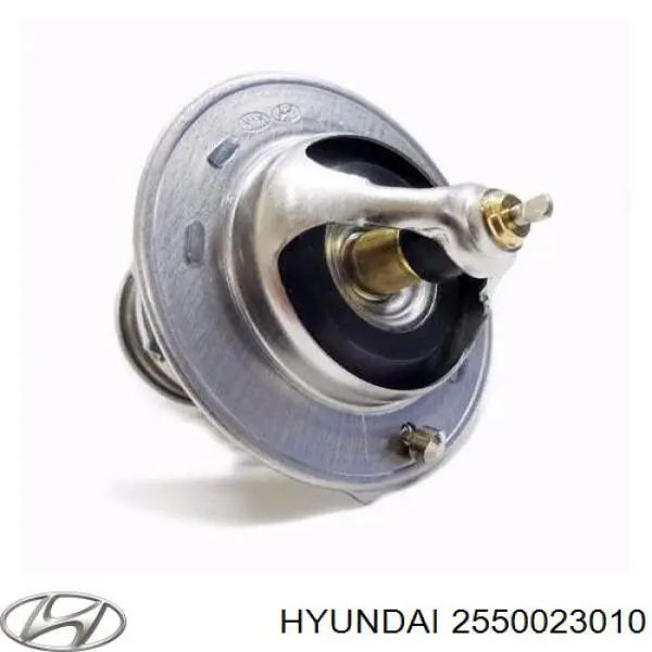 2550023010 Hyundai/Kia termostato